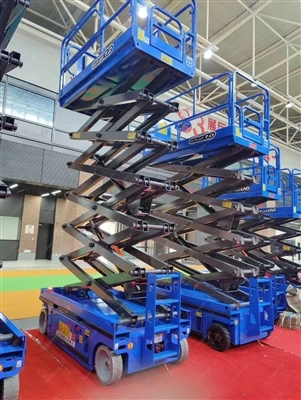 What are some common models of gantry cranes?